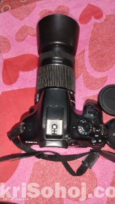 Canon Eos 1300d With 55-250mm Zoom Lens /Prime 55mm Lens